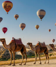 camel cappadocia