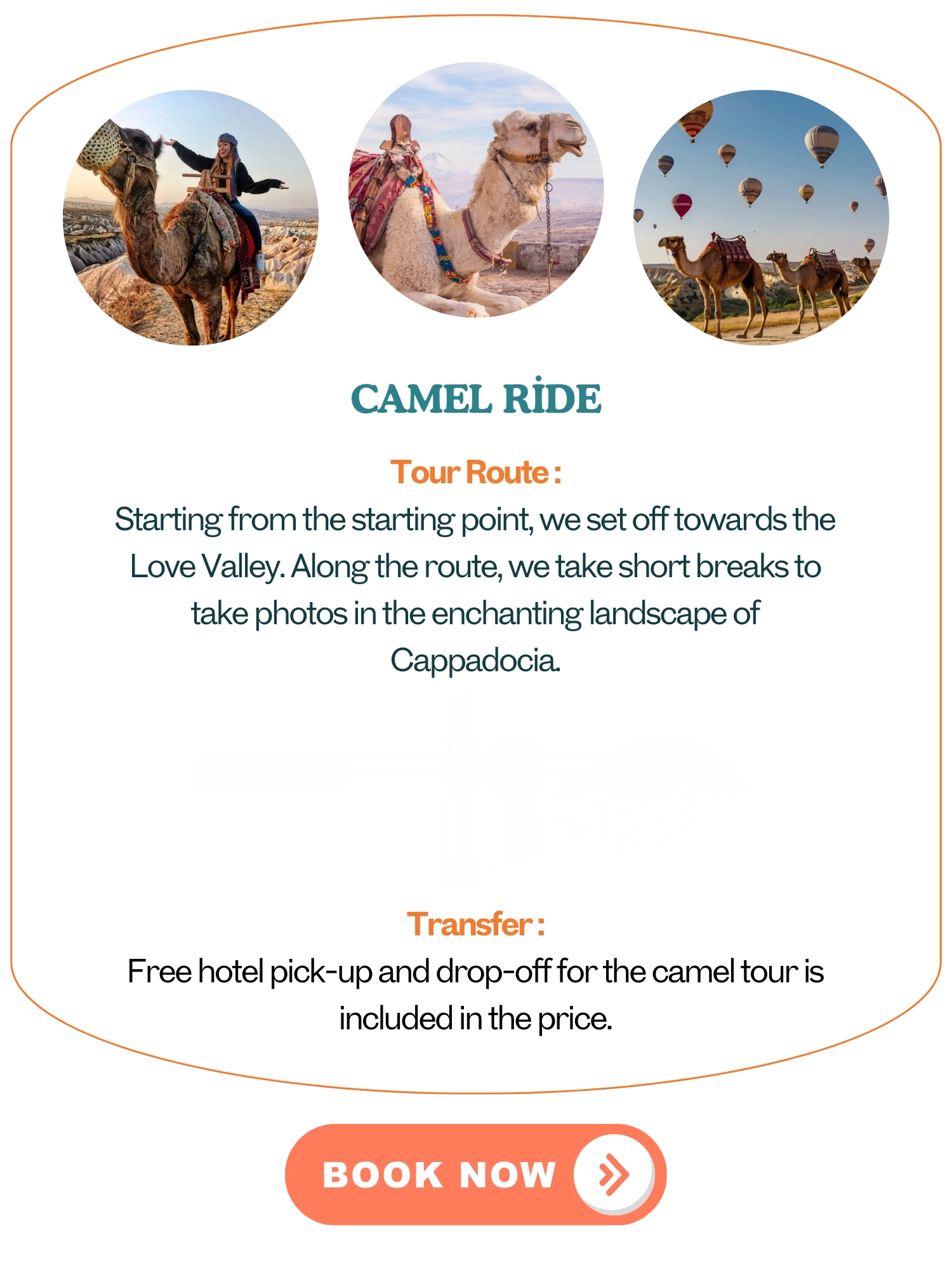 camel ride cappadocia